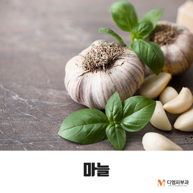 노화방지식품7가지로 동안 유지하자! 사진 5