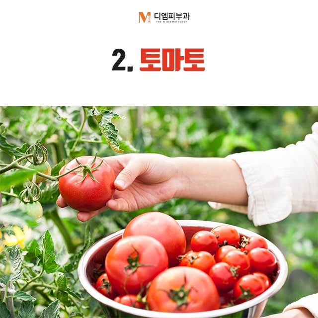 아토피에좋은음식으로 가려움과 이별하자 사진 3