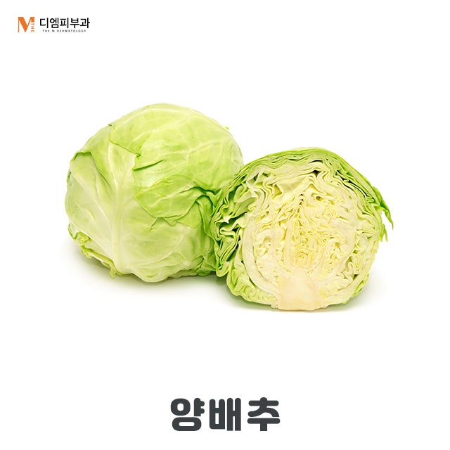 장에좋은음식7가지 알아보고 건강 챙기기!