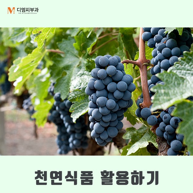 미백에좋은습관 따라 하고 매끈한 피부 완성하기