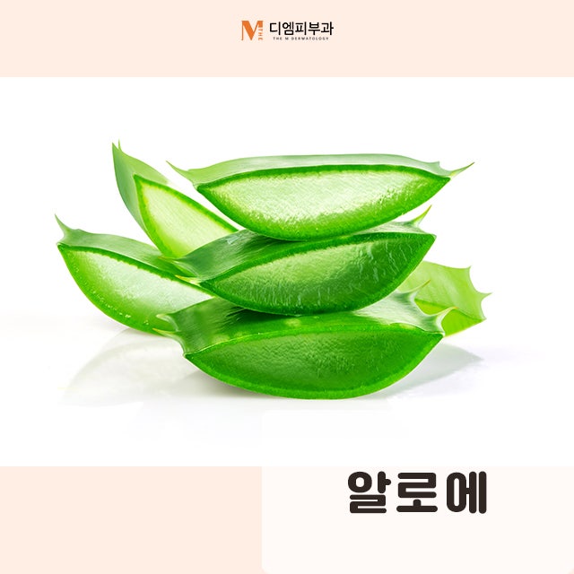 건성피부에좋은음식으로 먹으면서 하는 피부 관리 사진 7