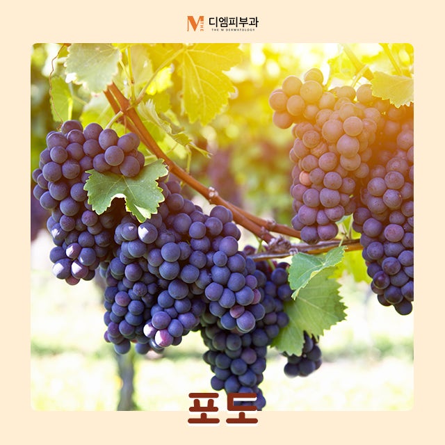지성피부에좋은음식으로 깨끗하게 피부 관리하기 사진 7