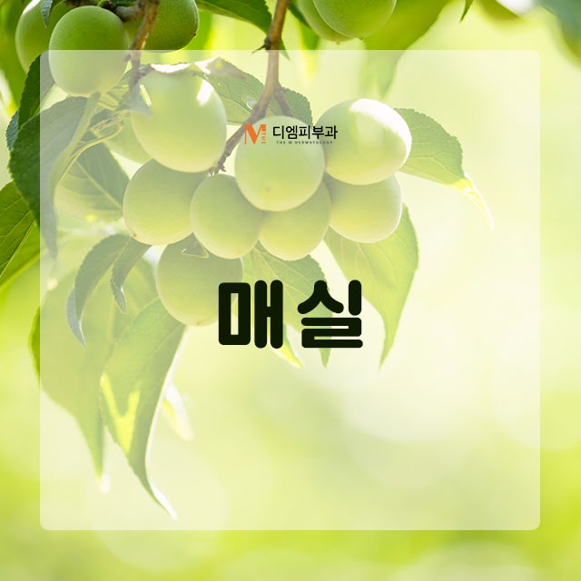 여름에먹으면좋은음식들로 여름 건강 관리하기!