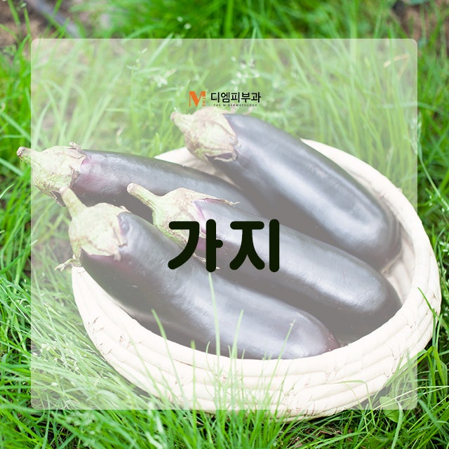 여름에먹으면좋은음식들로 여름 건강 관리하기! 사진 2
