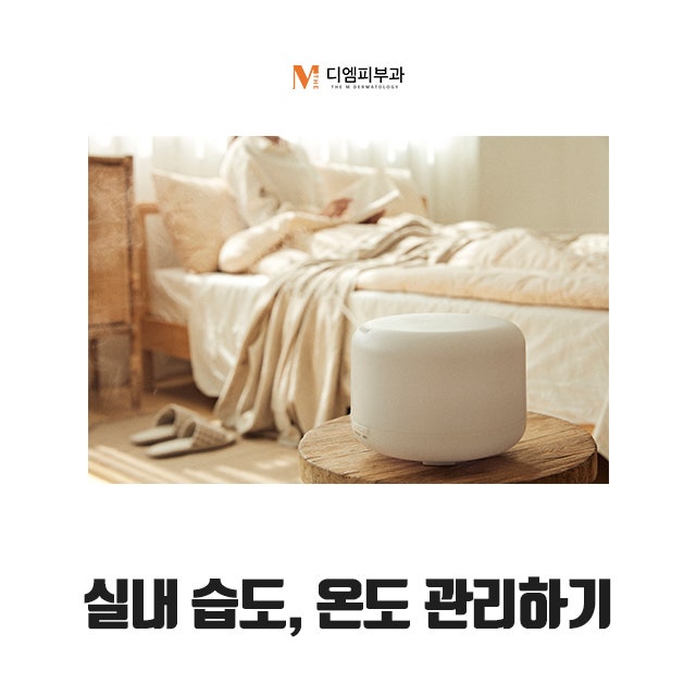 눈건강관리법으로 안구 건강 지키기 사진 4