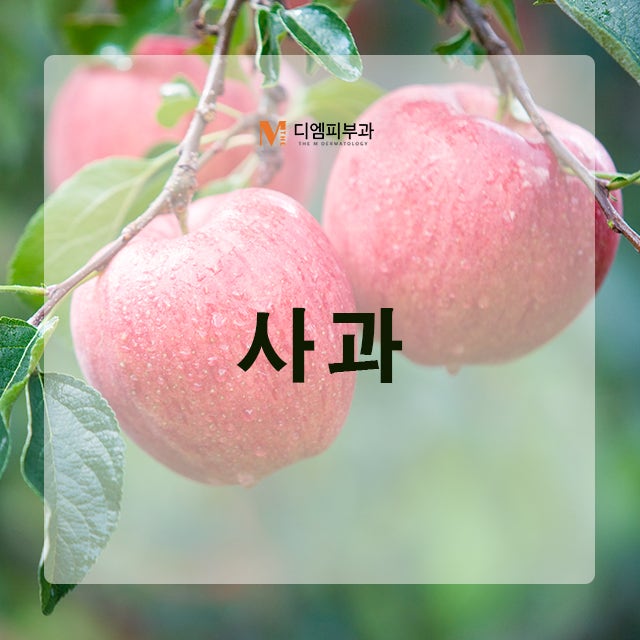 간에좋은음식 증상과 좋은 음식을 알아보자 사진 5
