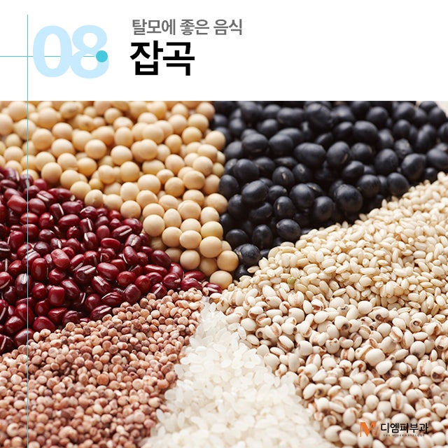 탈모에좋은음식 머리카락도 건강하게! 사진 9