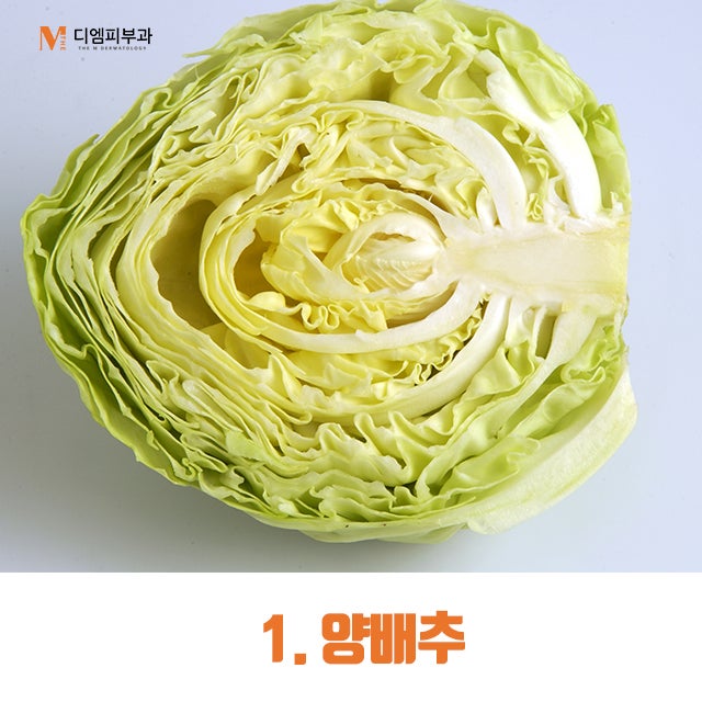 장에좋은음식 변비 예방에도 좋은