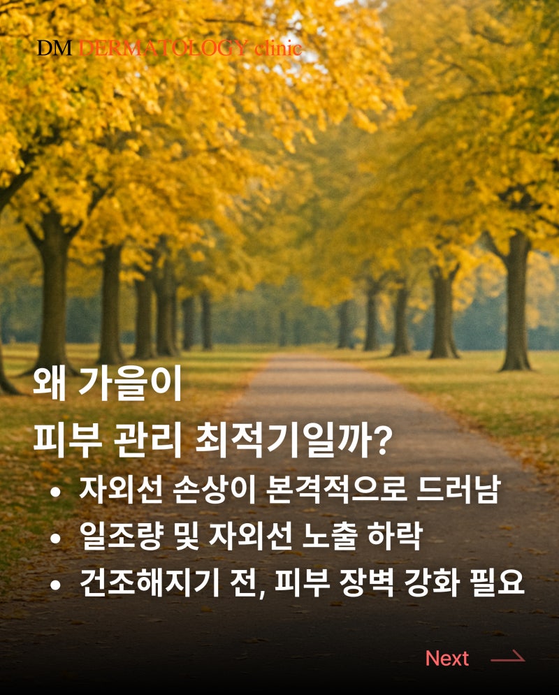 가을, 피부 회복의 골든타임! 가을 피부 관리 추천 솔루션
